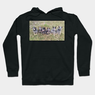 ali pack together Hoodie